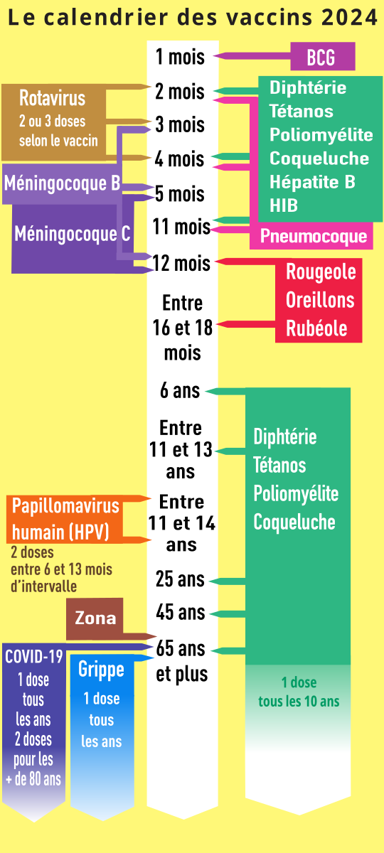 calendrier vaccinal 2024